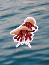 Waterproof Sticker - Strawberry Hermit Crab STICKERS SAILFISH CREATIVE 