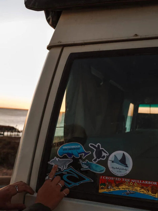 Sticker - Dolphins STICKERS SAILFISH CREATIVE 
