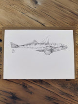Dusky Flathead - Small Greeting Card CARDS GE WARBURTON 
