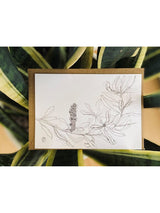 Coastal Banksia Seedpod No.4 - small greeting card CARDS GE WARBURTON 