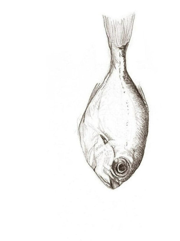 Big Fish - Small Greeting Card CARDS GE WARBURTON 