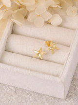 Dainty Starfish Studs - Gold EARRINGS MIDSUMMER STAR 
