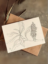 Coastal Banksia Seedpod No.3 - Small Greeting Card CARDS GE WARBURTON 