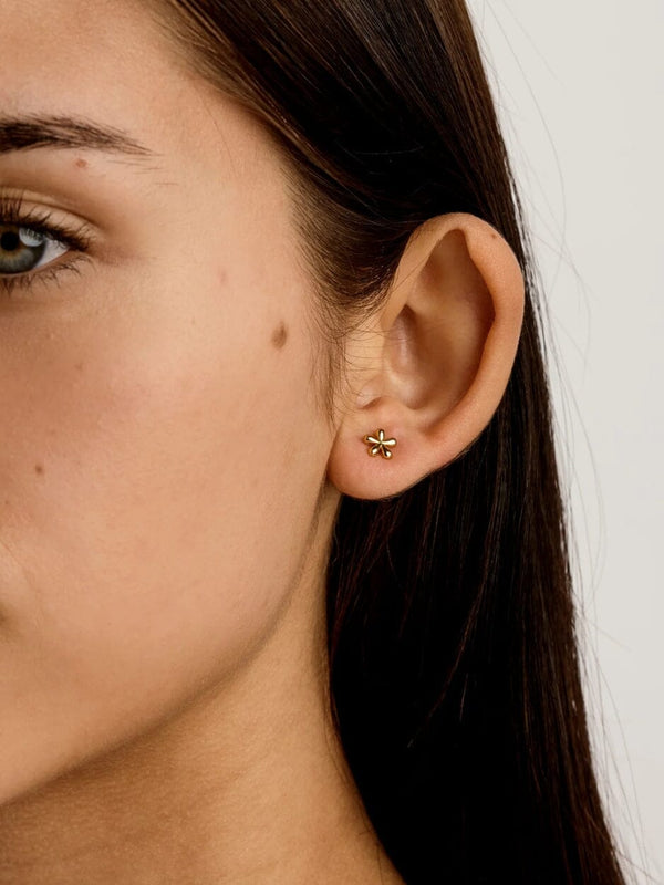 Periwinkle Flower Studs - Gold EARRINGS MIDSUMMER STAR 