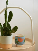 Cactus Flower - 8oz Candle CANDLES PADDYWAX 