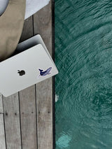 Waterproof Sticker - Humpback Whale STICKERS SAILFISH CREATIVE 