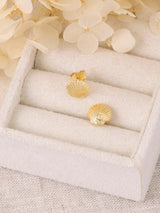Sandshell Studs Gold EARRINGS MIDSUMMER STAR 