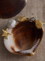 Sandshell Studs - Silver EARRINGS MIDSUMMER STAR 