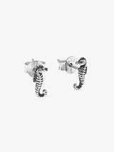 Baby Seahorse Studs EARRINGS MIDSUMMER STAR 