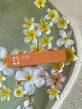 6PM Gratitude Incense INCENSE IN TIME INCENSE 