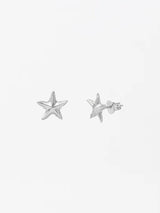 Dainty Starfish Studs - Silver EARRINGS MIDSUMMER STAR 