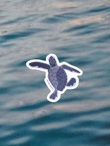Waterproof Sticker - Baby Turtle Hatchling STICKERS SAILFISH CREATIVE 