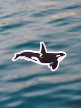 Waterproof Sticker - Orca / Killer Whale STICKERS SAILFISH CREATIVE 