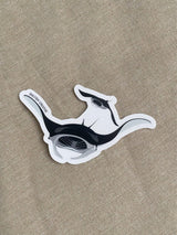 Sticker - Mantaray STICKERS SAILFISH CREATIVE 