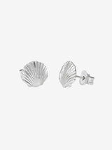 Sandshell Studs - Silver EARRINGS MIDSUMMER STAR 