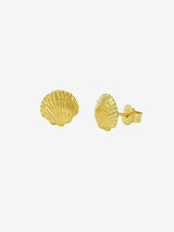 Sandshell Studs Gold EARRINGS MIDSUMMER STAR 