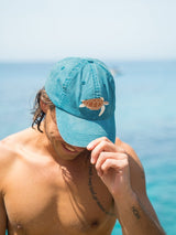 Dad Cap - Turtle Lid CAPS PALLION POINT 