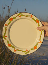 Enamel Plates - Australian Native - Pack of Two HOMEWARE SALTY DUNES 