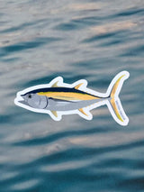Waterproof Sticker - Yellowfin Tuna STICKERS SAILFISH CREATIVE 