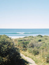 35mm Film CAMERA FILM SURFOLK 