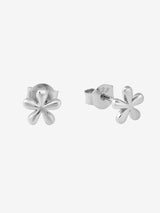 Periwinkle Flower Studs - Silver EARRINGS MIDSUMMER STAR 