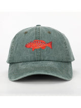 Coral Trout Lid CAPS PALLION POINT 