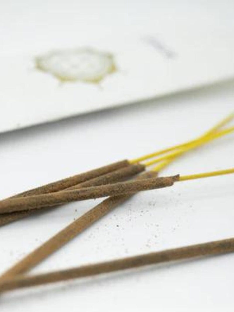 Eco Incense - Grace INCENSE HOLY SMOKE 